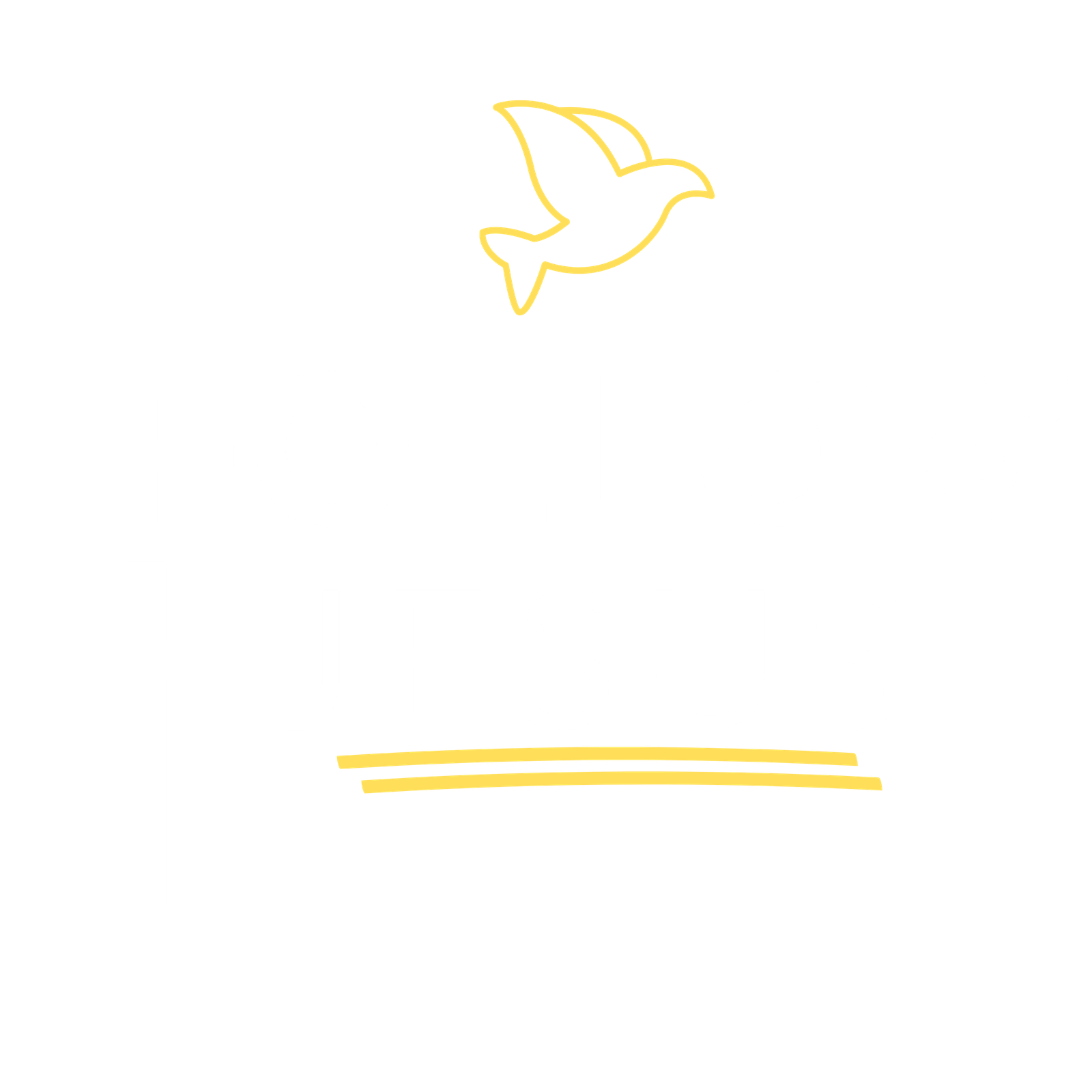 FollowJesus.Life avatar