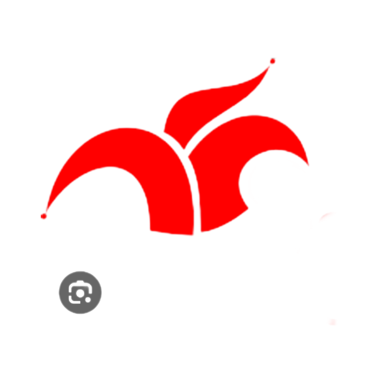 salidacircus avatar